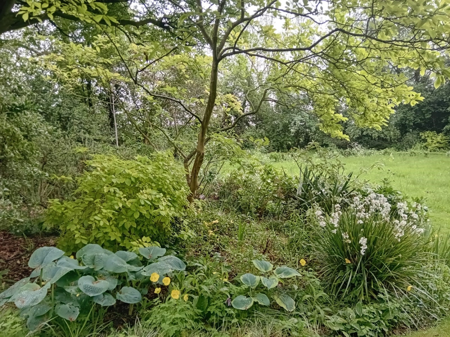 The Old Vicarage, Holbeach Hurn, Lincolnshire, PE12 8JN National